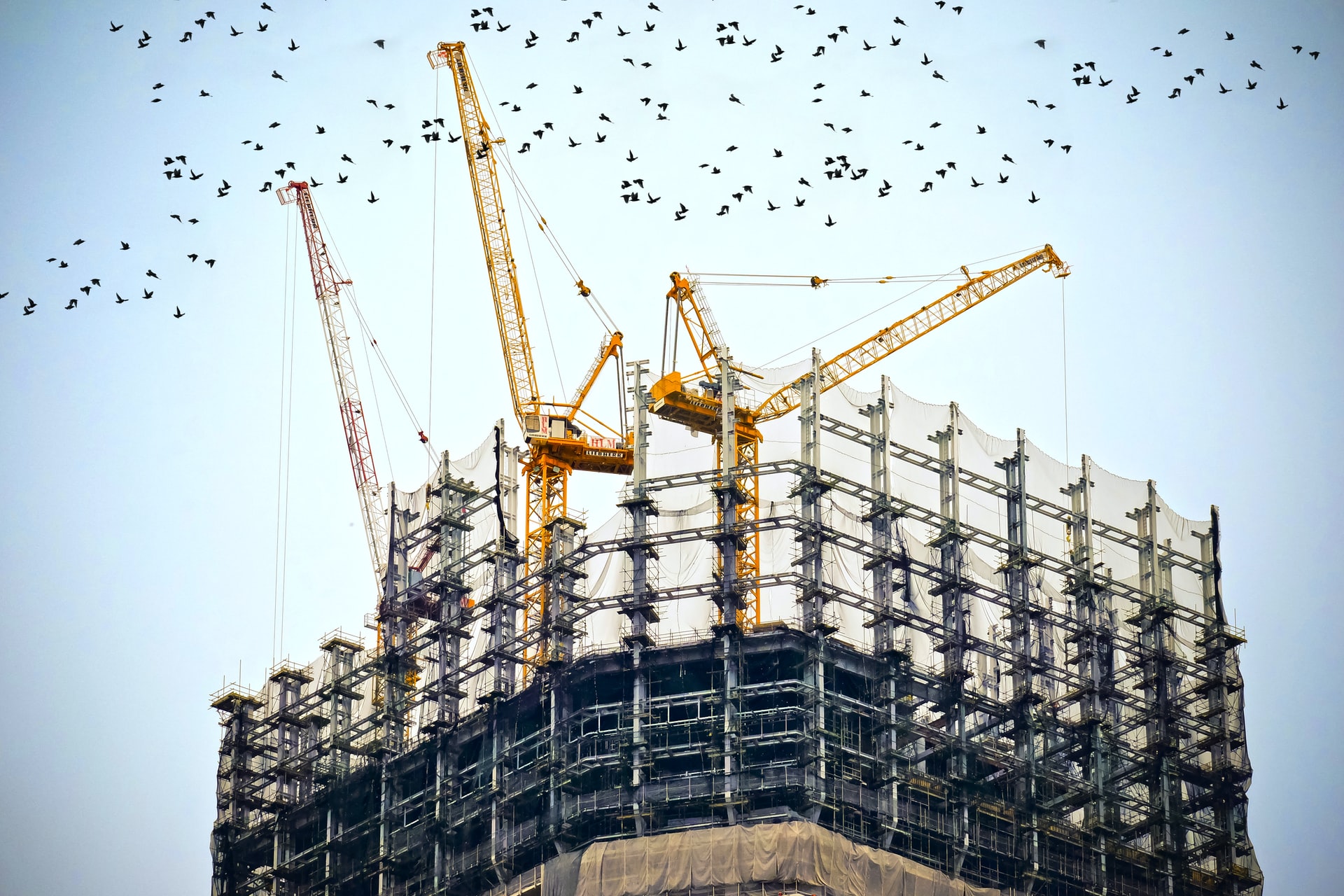 Image of a building being assembled by a series of cranes.