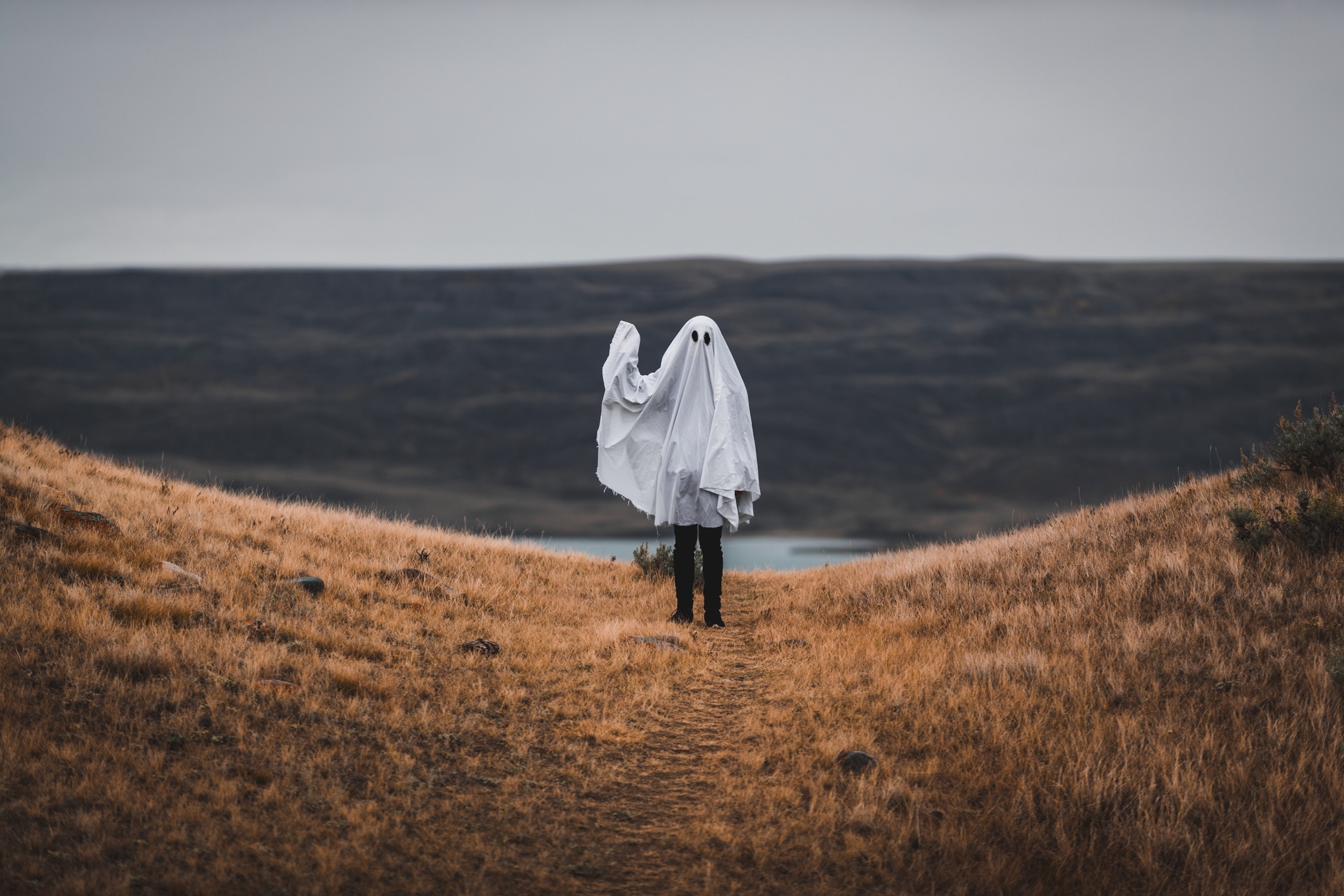 A ghost in a field